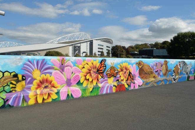 Promoting bee conservation at Falmer | ©Tony Mould: My Brighton and Hove