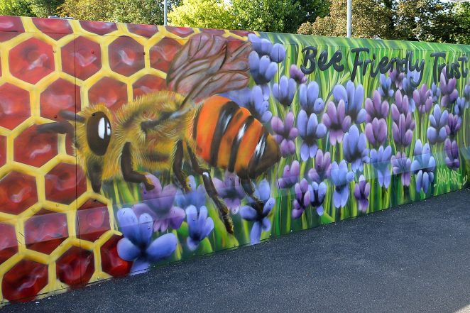 Promoting bee conservation at Falmer | ©Tony Mould: My Brighton and Hove