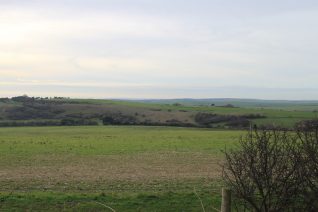 View west towards Brighton and Hove Golf Course, 30th December 2019 | Tom Groves