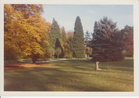 Photographs of Holy Cross Convent and its grounds in Haywards Heath