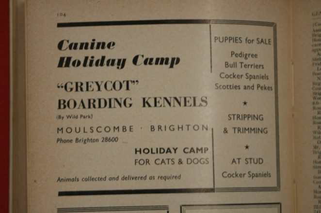 Greycot kennels 1950