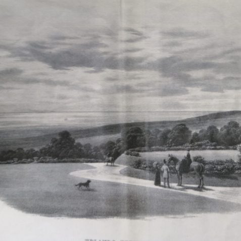 View from the gardens overlooking the sea and what is now Tongdean Lane