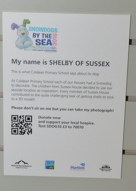 Shelby of Sussex