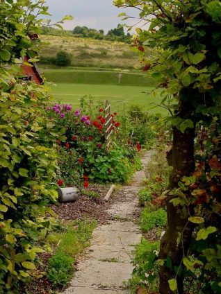 Horsdean Allotments | Photograph by Simon Tobitt