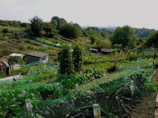The valley view from Andrew's plot | Photo by Simon Tobitt