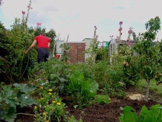 Ninka tending her allotment | Photo by Simon Tobitt