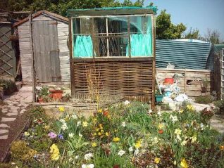 Val's allotment | Photo by Simon Tobitt