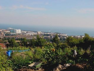 View across the Craven Vale site, Brighton Marina in background | Photo by Simon Tobitt