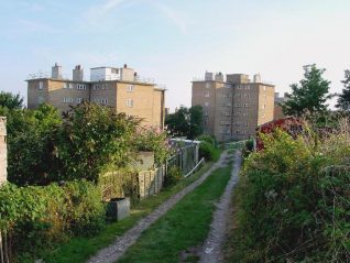 Craven Vale Allotments, Whitehawk Hill | Photo by Simon Tobitt