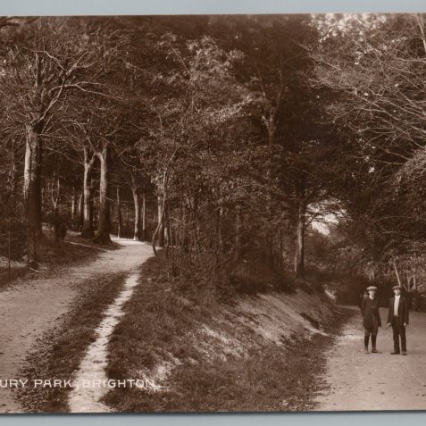 The road to the club house through Hollingbury Woods | HPGC Archive