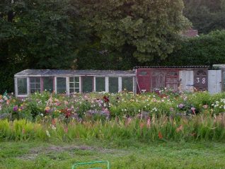 Flower beds and sheds, Tenantry Down | Photo by Simon Tobitt