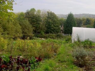 Moulsecoomb Forest Garden, Moulsecoomb Place site | Photo by Simon Tobitt