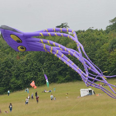 Brighton Kite Festival:©Tony Mould