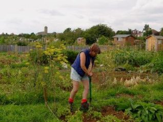 Ruth digging at the BHOGG Weald Avenue plot | Photo by Simon Tobitt