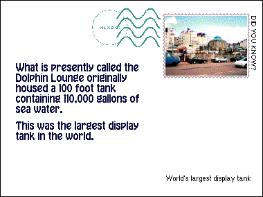 Did you know? World's largest display tank