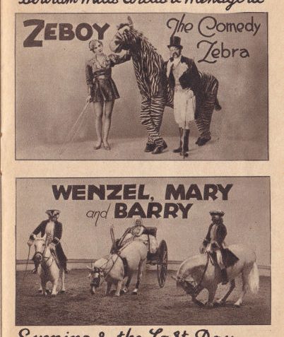 Bertram Mills circus programme | From the private collection of Dave Harris
