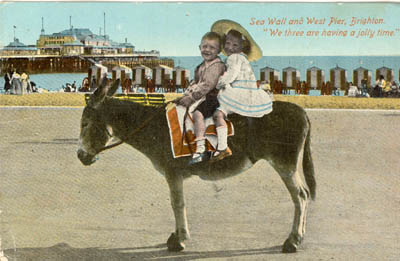 Postcard of donkey on Brighton beach