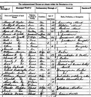 Example of a census page | From the private collection of Jennifer Drury