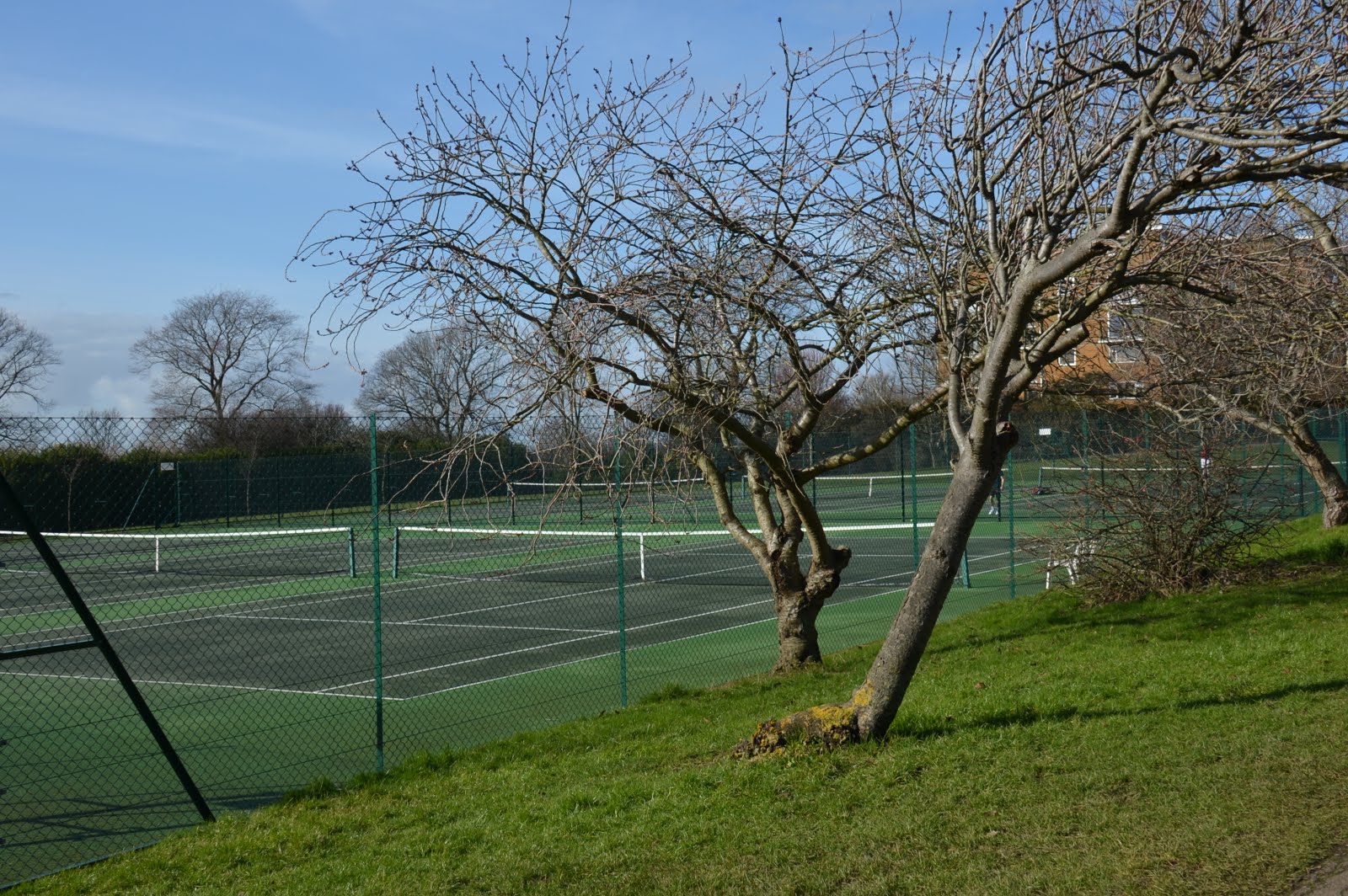 A place for all seasons Dyke Road Park My Brighton and Hove