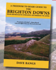 Freedom to Roam Guide to the Brighton Downs