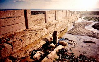 Surviving groynes; click to open a large image | Photo by Sam Flowers