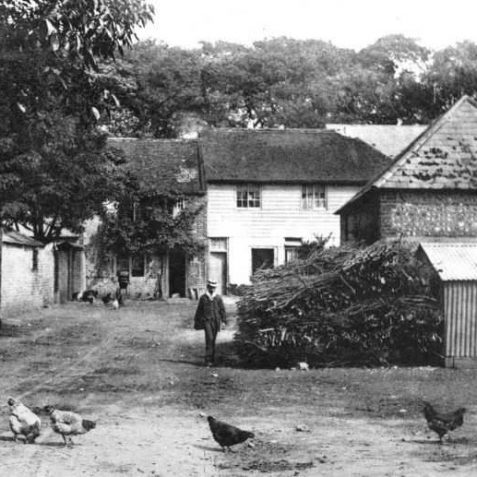 The Grange farmyard c1915 | From the private collection of Jennifer Drury