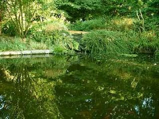 Pond in St Anne's Well Gardens | From a private collection