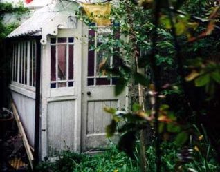 Greenhouse in Trafalgar Terrace | Photo by Pam Blackman