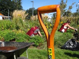 Gardening Club | Brighton & Hove City Council