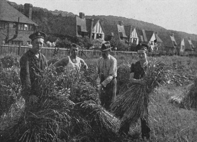 Polish sailors helping with the harvest in Brighton WWII | Taken from the book Brighton in Battledress (copy owned by Peter Groves)