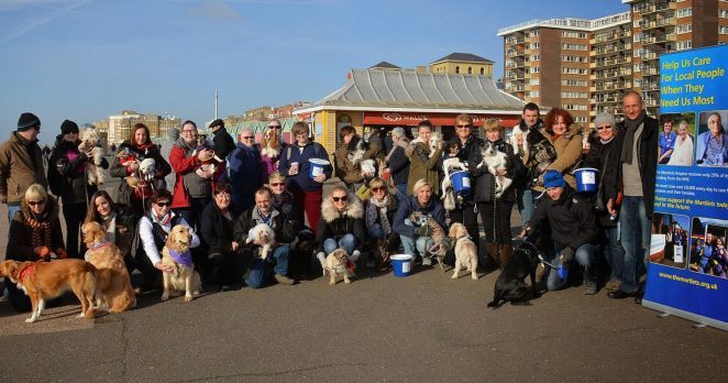 Pooches on the prom | ©Tony Mould: all images copyright protected