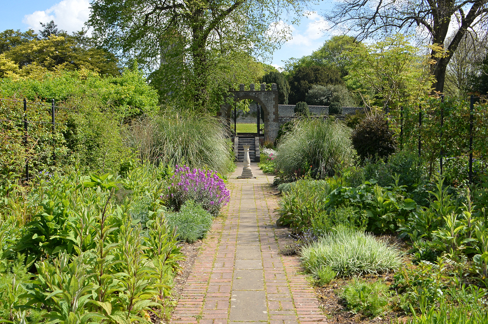 The National Garden Scheme | Preston Park, City Insights | My Brighton ...