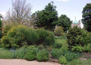 Royal Pavilion Gardens | Photo by John Desborough