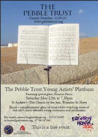 The Pebble Trust Young Artists' Platorm