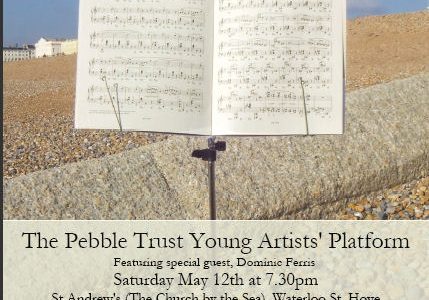 The Pebble Trust Young Artists' Platorm