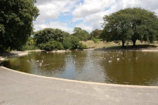 Queens Park lake | Photo by Tony Mould