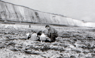 Rockpooling at Blackrock:click on photo to open a large version | From the private collection of Clive Custance