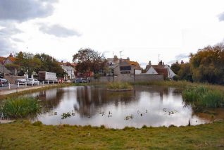 Rottingdean pond | Photo by Tony Mould