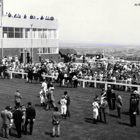 At the races, c.1960 | From a private collection