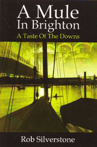 'A mule in Brighton'