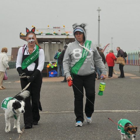 Sussex Pet Rescue fundraising walk | Photo by Tony Mould