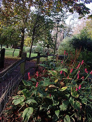 Pathway in St Anne's Well Gardens | Photo taken by Julia Powell, 2002