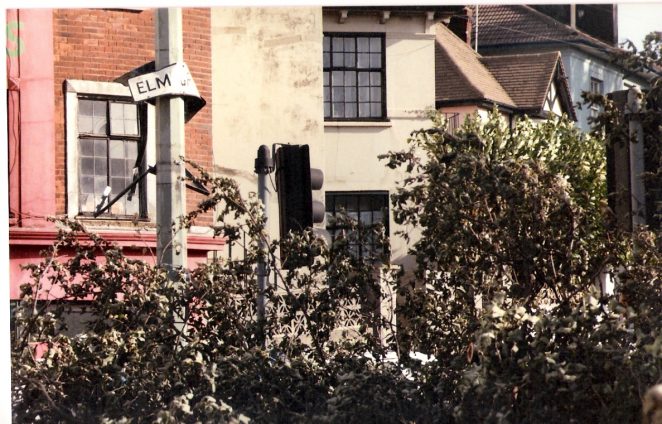 Elm Grove the day after the great storm of October 1987 | Photographed by Stuart Joseph