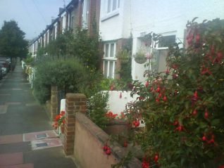 Looking up Bennett Road | Photo courtesy of Kemp Town gardening club