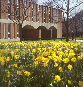 A view of the University of Sussex campus