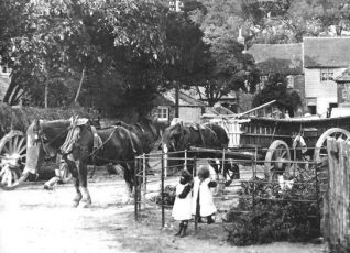 The 'Dudeney girls' at the entrance to Grange Farm Ovingdean | From the private collection of Miss Laurie Hollands