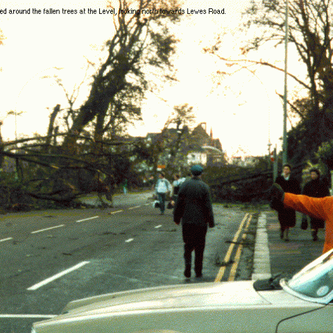 Cars being guided around fallen trees at The Level | Image from the 'My Brighton' exhibit