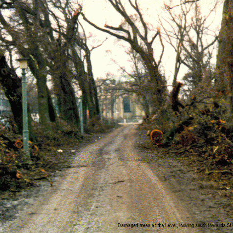 Damaged trees at The Level, looking south towards St. Peter's church | Image from the 'My Brighton' exhibit