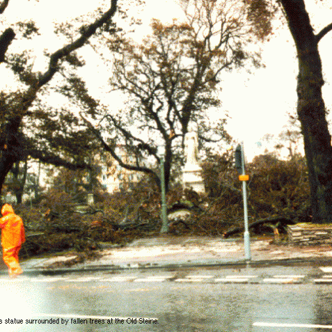 Queen Victoria's statue surrounded by fallen trees in the Old Steine | Image from the 'My Brighton' exhibit