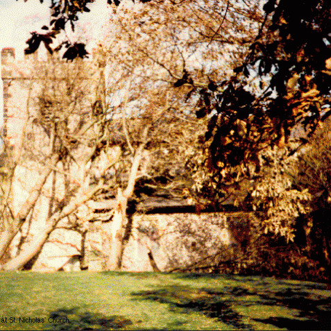 Damaged trees at St. Nicholas' Church | Image from the 'My Brighton' exhibit